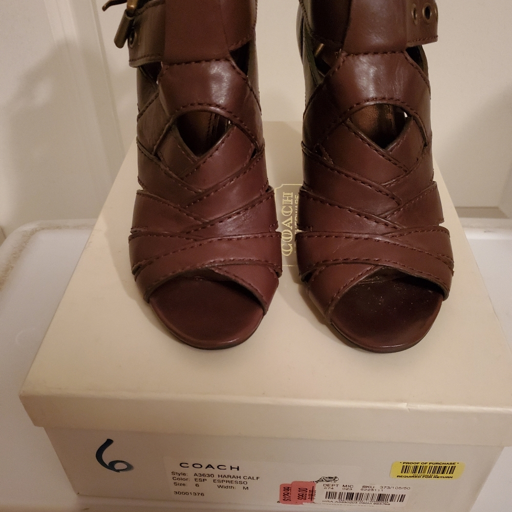 Coach Heals - image 4